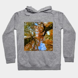SCENERY 77 - Autumn Tree Woody Forest Leaves Hoodie